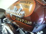 Harley by Impact signs Ossett